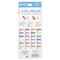 Prismacolor Col-Erase Pencil with Eraser, 0.7 mm, 2B (#1), Asstd Lead/Barrel, PK24 20517 - alternate 10